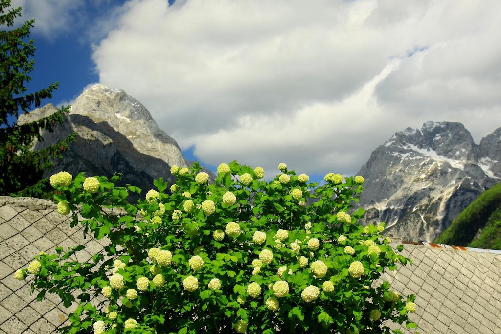 Hotel Alp Bovec Buitenkant foto