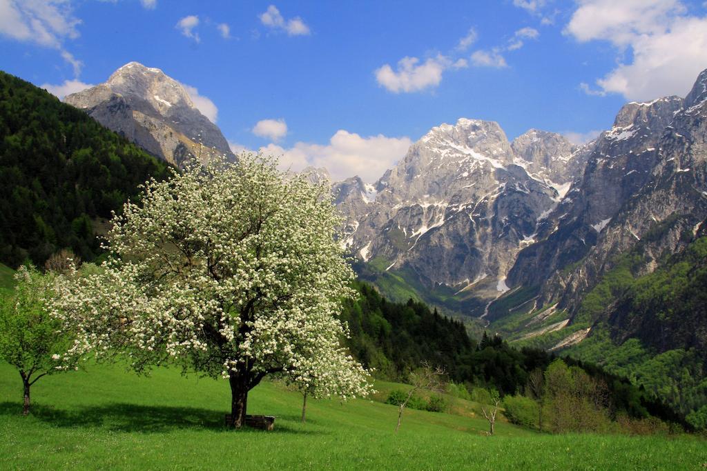 Hotel Alp Bovec Buitenkant foto